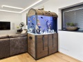 Tailor-made aquarium