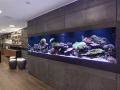 Luxury aquariums