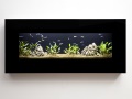 Wall-mounted aquariums